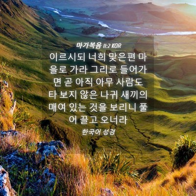 Picture 04 - 마가복음 11:2 KOR - 이르시되 너희 맞은편 마을로 가라 - Bible Verse Picture