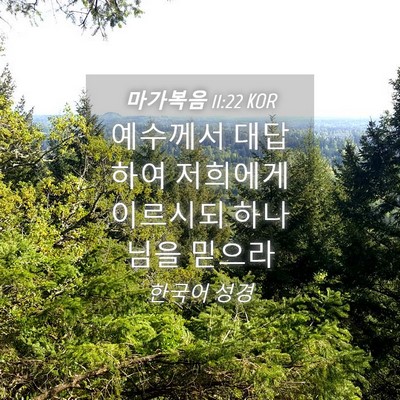 Picture 04 - 마가복음 11:22 KOR - 예수께서 대답하여 저희에게 - Bible Verse Picture