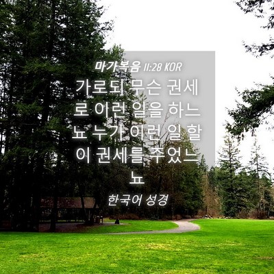 Picture 04 - 마가복음 11:28 KOR - 가로되 무슨 권세로 이런 일을 - Bible Verse Picture