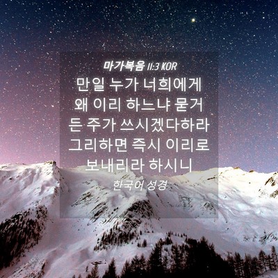 Picture 04 - 마가복음 11:3 KOR - 만일 누가 너희에게 왜 이리 하느냐 - Bible Verse Picture