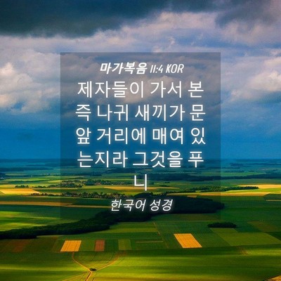 Picture 04 - 마가복음 11:4 KOR - 제자들이 가서 본즉 나귀 새끼가 - Bible Verse Picture