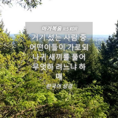 Picture 04 - 마가복음 11:5 KOR - 거기 섰는 사람 중 어떤이들이 - Bible Verse Picture
