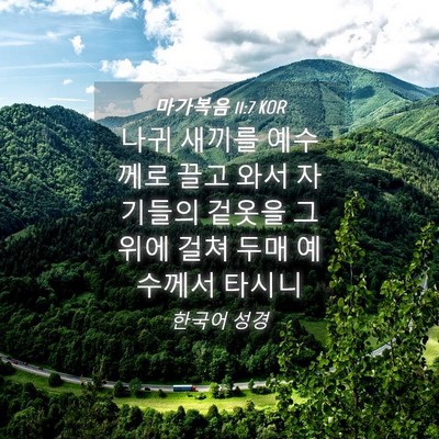 Picture 04 - 마가복음 11:7 KOR - 나귀 새끼를 예수께로 끌고 와서 - Bible Verse Picture