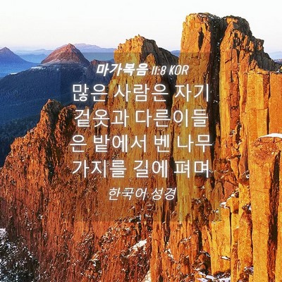 Picture 04 - 마가복음 11:8 KOR - 많은 사람은 자기 겉옷과 다른이들은 - Bible Verse Picture