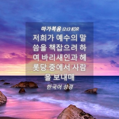 Picture 04 - 마가복음 12:13 KOR - 저희가 예수의 말씀을 책잡으려 하여 - Bible Verse Picture