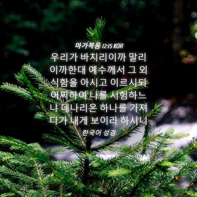 Picture 04 - 마가복음 12:15 KOR - 우리가 바치리이까 말리이까한대 - Bible Verse Picture