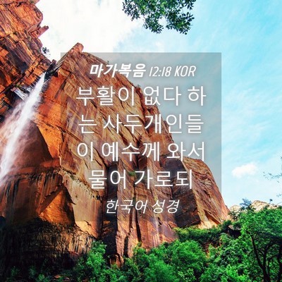 Picture 04 - 마가복음 12:18 KOR - 부활이 없다 하는 사두개인들이 - Bible Verse Picture