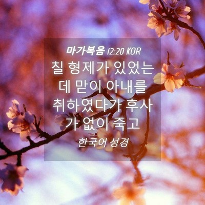 Picture 04 - 마가복음 12:20 KOR - 칠 형제가 있었는데 맏이 아내를 - Bible Verse Picture