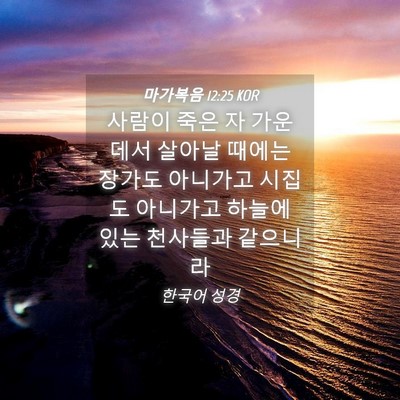Picture 04 - 마가복음 12:25 KOR - 사람이 죽은 자 가운데서 살아날 - Bible Verse Picture