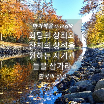 Picture 04 - 마가복음 12:39 KOR - 회당의 상좌와 잔치의 상석을 원하는 - Bible Verse Picture