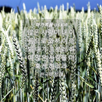Picture 04 - 마가복음 13:6 KOR - 많은 사람이 내 이름으로 와서 - Bible Verse Picture