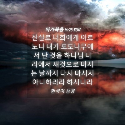 Picture 04 - 마가복음 14:25 KOR - 진실로 너희에게 이르노니 내가 - Bible Verse Picture