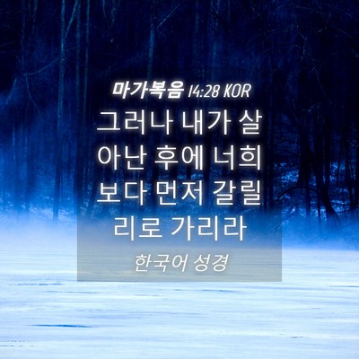 Picture 04 - 마가복음 14:28 KOR - 그러나 내가 살아난 후에 너희 보다 - Bible Verse Picture