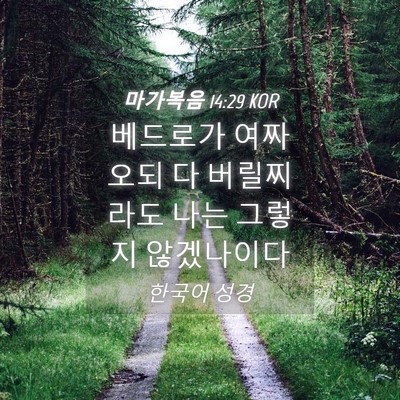 Picture 04 - 마가복음 14:29 KOR - 베드로가 여짜오되 다 버릴찌라도 - Bible Verse Picture