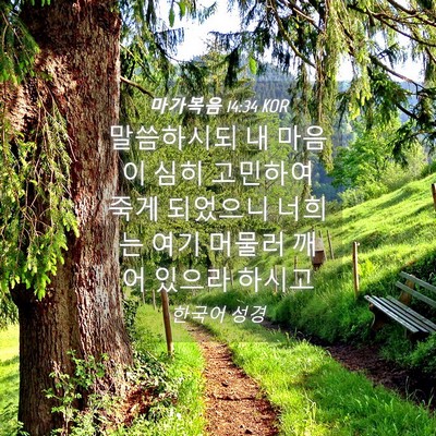 Picture 04 - 마가복음 14:34 KOR - 말씀하시되 내 마음이 심히 고민하여 - Bible Verse Picture