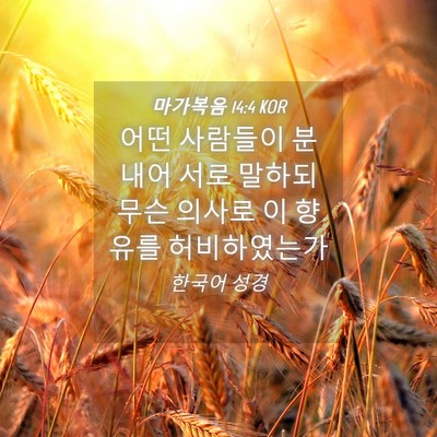 Picture 04 - 마가복음 14:4 KOR - 어떤 사람들이 분내어 서로 말하되 - Bible Verse Picture