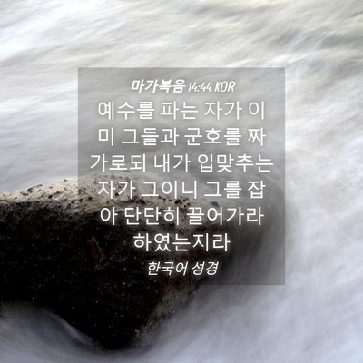 Picture 04 - 마가복음 14:44 KOR - 예수를 파는 자가 이미 그들과 - Bible Verse Picture