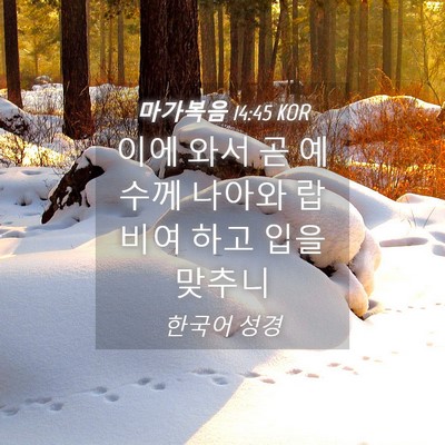 Picture 04 - 마가복음 14:45 KOR - 이에 와서 곧 예수께 나아와 랍비여 - Bible Verse Picture