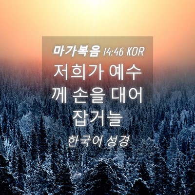 Picture 04 - 마가복음 14:46 KOR - 저희가 예수께 손을 대어 - Bible Verse Picture