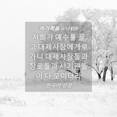 Picture 04 - 마가복음 14:53 KOR - 저희가 예수를 끌고 대제사장에게로 - Bible Verse Picture