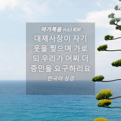 Picture 04 - 마가복음 14:63 KOR - 대제사장이 자기 옷을 찢으며 가로되 - Bible Verse Picture