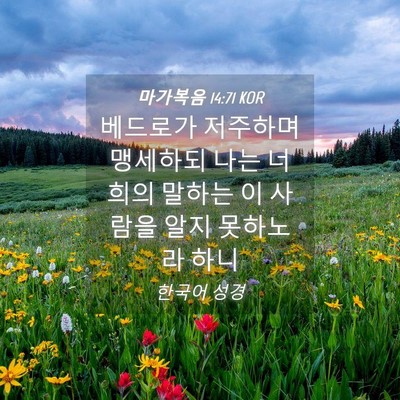 Picture 04 - 마가복음 14:71 KOR - 베드로가 저주하며 맹세하되 나는 - Bible Verse Picture