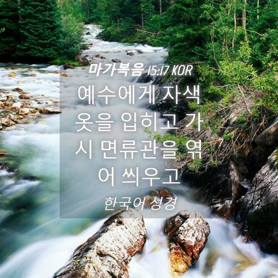 Picture 04 - 마가복음 15:17 KOR - 예수에게 자색 옷을 입히고 가시 - Bible Verse Picture