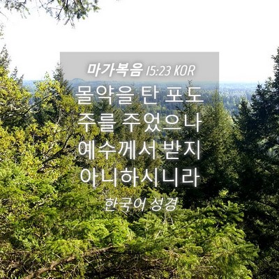 Picture 04 - 마가복음 15:23 KOR - 몰약을 탄 포도주를 주었으나 - Bible Verse Picture