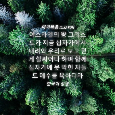 Picture 04 - 마가복음 15:32 KOR - 이스라엘의 왕 그리스도가 지금 - Bible Verse Picture