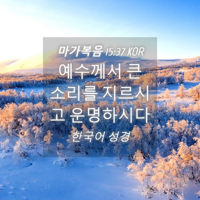 Picture 04 - 마가복음 15:37 KOR - 예수께서 큰 소리를 지르시고 - Bible Verse Picture