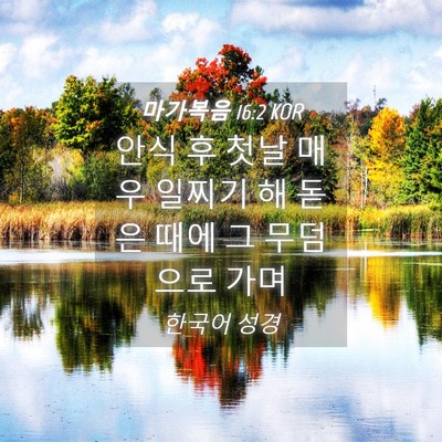Picture 04 - 마가복음 16:2 KOR - 안식 후 첫날 매우 일찌기 해 돋은 - Bible Verse Picture