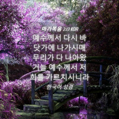 Picture 04 - 마가복음 2:13 KOR - 예수께서 다시 바닷가에 나가시매 - Bible Verse Picture
