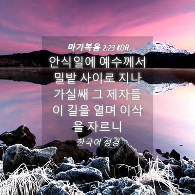 Picture 04 - 마가복음 2:23 KOR - 안식일에 예수께서 밀밭 사이로 - Bible Verse Picture