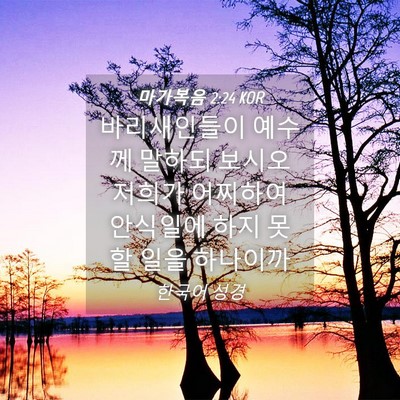 Picture 04 - 마가복음 2:24 KOR - 바리새인들이 예수께 말하되 보시오 - Bible Verse Picture