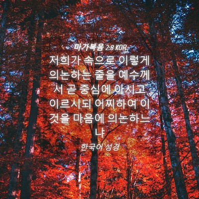 Picture 04 - 마가복음 2:8 KOR - 저희가 속으로 이렇게 의논하는 줄을 - Bible Verse Picture