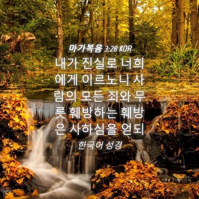 Picture 04 - 마가복음 3:28 KOR - 내가 진실로 너희에게 이르노니 - Bible Verse Picture