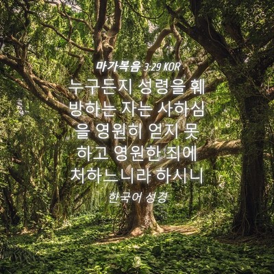 Picture 04 - 마가복음 3:29 KOR - 누구든지 성령을 훼방하는 자는 - Bible Verse Picture