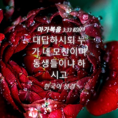 Picture 04 - 마가복음 3:33 KOR - 대답하시되 누가 내 모친이며 - Bible Verse Picture