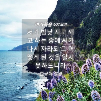 Picture 04 - 마가복음 4:27 KOR - 저가 밤낮 자고 깨고 하는 중에 씨가 - Bible Verse Picture