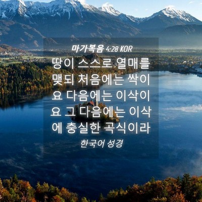 Picture 04 - 마가복음 4:28 KOR - 땅이 스스로 열매를 맺되 처음에는 - Bible Verse Picture
