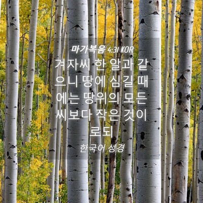 Picture 04 - 마가복음 4:31 KOR - 겨자씨 한 알과 같으니 땅에 심길 - Bible Verse Picture