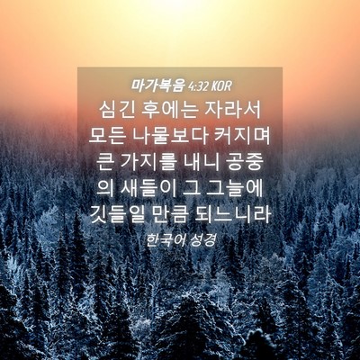 Picture 04 - 마가복음 4:32 KOR - 심긴 후에는 자라서 모든 나물보다 - Bible Verse Picture