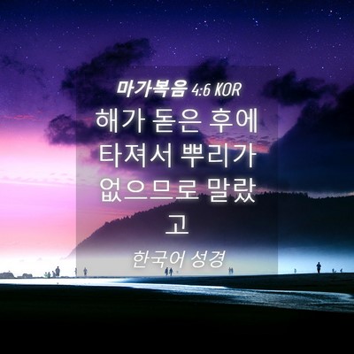 Picture 04 - 마가복음 4:6 KOR - 해가 돋은 후에 타져서 뿌리가 - Bible Verse Picture