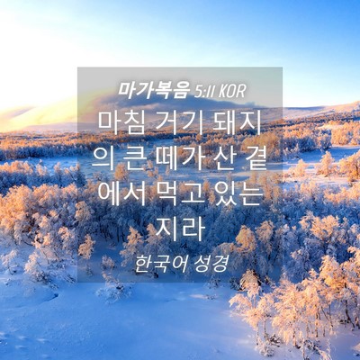 Picture 04 - 마가복음 5:11 KOR - 마침 거기 돼지의 큰 떼가 산 곁에서 - Bible Verse Picture