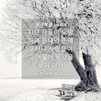 Picture 04 - 마가복음 5:14 KOR - 치던 자들이 도망하여 읍내와 촌에 - Bible Verse Picture