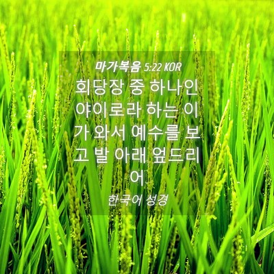 Picture 04 - 마가복음 5:22 KOR - 회당장 중 하나인 야이로라 하는 - Bible Verse Picture