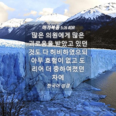 Picture 04 - 마가복음 5:26 KOR - 많은 의원에게 많은 괴로움을 받았고 - Bible Verse Picture