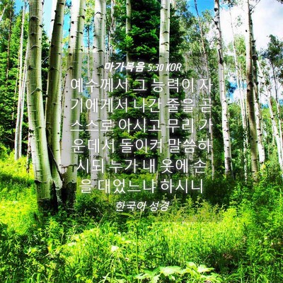 Picture 04 - 마가복음 5:30 KOR - 예수께서 그 능력이 자기에게서 나간 - Bible Verse Picture