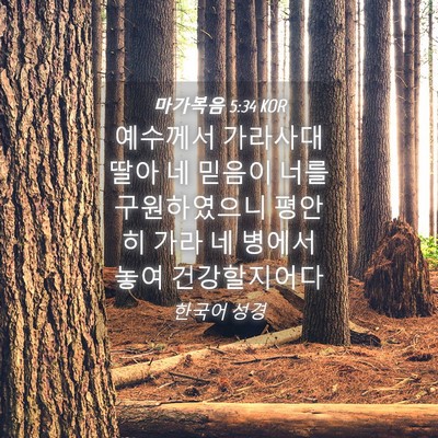Picture 04 - 마가복음 5:34 KOR - 예수께서 가라사대 딸아 네 믿음이 - Bible Verse Picture