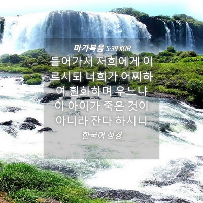 Picture 04 - 마가복음 5:39 KOR - 들어가서 저희에게 이르시되 너희가 - Bible Verse Picture